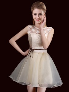 High Class Scoop Champagne A-line Lace Bridesmaids Dress Lace Up Organza Sleeveless Mini Length
