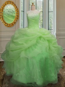 Sleeveless Organza Floor Length Lace Up Ball Gown Prom Dress in with Embroidery and Pick Ups