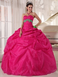 Hot Pink Sweetheart Quinceanera Dress with Green Appliques
