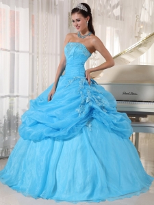 Baby Blue Ball Gown Strapless Floor-length Organza Appliques