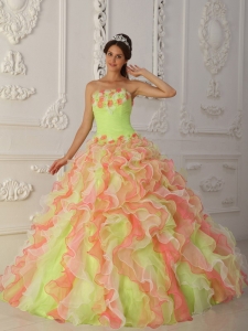 Multi-Color Ball Gown Strapless Organza Hand Flowers Ruffles