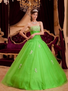 Spring Green Quinceanera Dress Strapless Floor-length Appliques