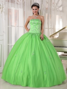 Spring Green Quinceanera Dress Strapless Taffeta and Tulle