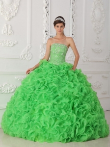 Ball Gown Spring Green Beaded Quinceanera Dress Ruffled