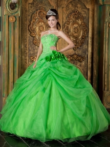 Ball Gown Beading Spring Green Quinceanera Dress Organza