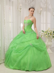 Spring Green Quinceanera Dress Ball Gown Organza Appliques