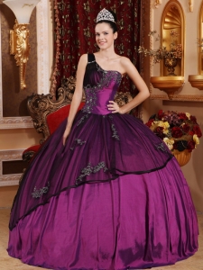 One Shoulder Beading and Appliques Quinceanera Dress Organza Overlay