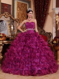 Fuchsia Ball Gown Sweetheart Organza Beading Quinceanera Gown