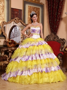 Multi-color Sweetheart Organza Beading and Ruffles Sweet 15 Dress
