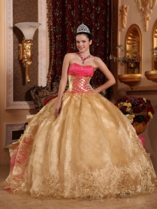 Embroidery Quinceanera Dress Gold Ball Gown Strapless