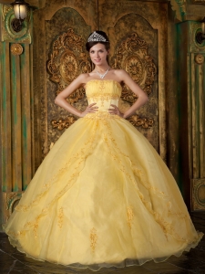 Yellow Quinceanera Dress Ball Gown Appliques Organza