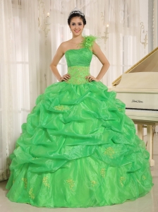 One Shoulder Hand Flowers Quinceaners Dresses Spring Green
