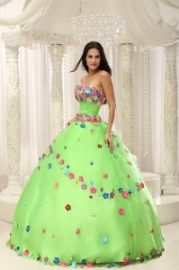 Colorful Flowers Spring Green Appliques Quninceaera Gown