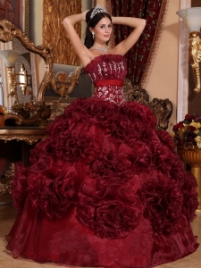 Organza Quinceanera Dresses Burgundy Ball Gown Appliques