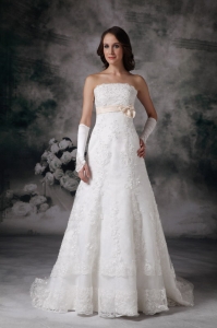 Perfect A-line Strapless Brush Train Lace Bowknot Wedding Dress