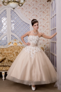 Ankle-length Champagne Tulle Wedding Dress Appliques