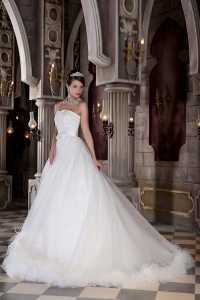 Sweetheart Court Train Organza Feather Wedding Dress