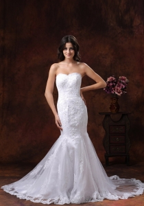 Mermaid Lace Over Skirt Bridal Dress Pretty Embroidery
