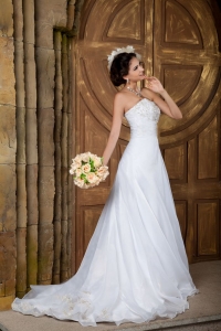 Customize A-line Embroidery Court Train Organza Wedding Dress