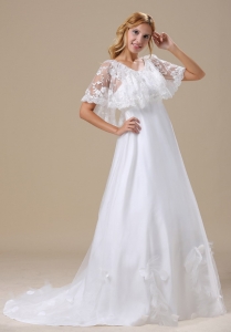 Short Sleeves V-neck Lace Brush Train Wedding Dress