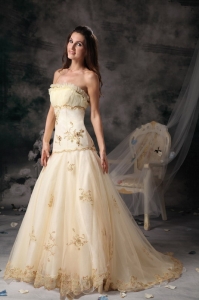 Champagne A-Line / Princess Organza Embroidery Prom Dress