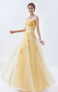 Champagne Embroidery Prom Dress Organza Sweetheart