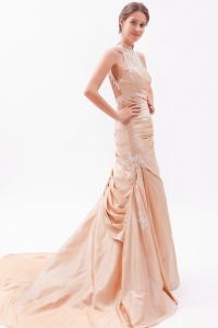 Mermaid Prom Dress Champagne High-neck Court Embroidery