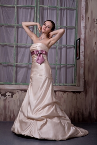 Champagne Bridesmaid Dress Strapless Brush Train Belt Beading Satin