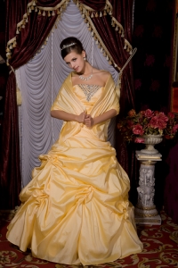 Gold Strapless Tafftea Beading Pick-ups Prom Evening Dress