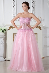 Baby Pink Sweetheart Brush Train Tulle Appliques Prom Dress