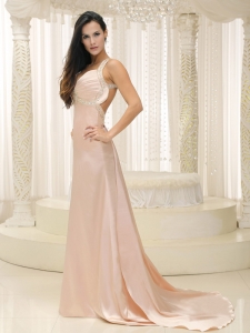 Straps Baby Pink Prom Evening Dress Ruched Train