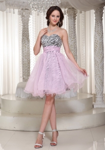 Baby Pink Prom Homecoming Dress Sweetheart Organza Zebra