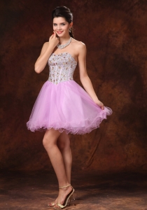 Lavender Beaded Short A-line Prom Homecoming Gowns