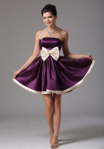 Beautiful Dark Purple Graduation Holiday Dress Sash
