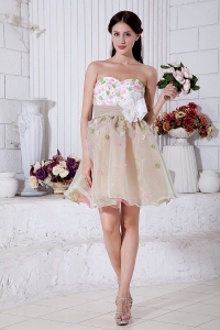 Colorful Sweetheart Organza Prom Homecoming Dress