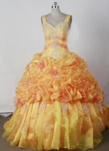 Appliques Beading Little Girl Pageant Dress Ball Gown