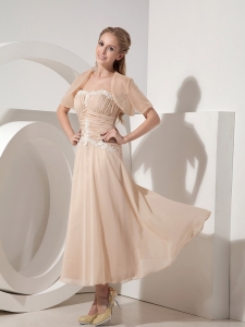 Champagne Chiffon Appliques Mother of the Bride Dress