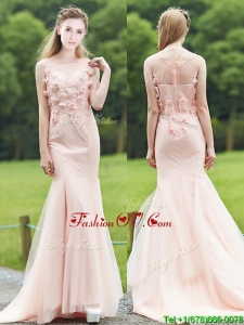 Luxurious See Through Light Pink Mermaid Mother Groom Dress with Brush Train