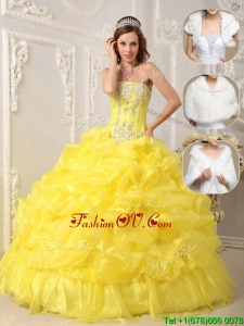 Winter Perfect Strapless Quinceanera Gowns with Beading and Ruffles