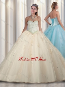 Simple Princess Beading and Sweet 16 Gowns Dresses