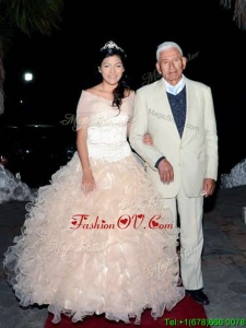 New Arrivals Sweetheart Really Puffy Quinceanera Dress with Beading and Ruffles