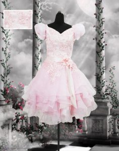 Baby Pink Lace Up V-neck Beading and Appliques and Ruffles and Hand Made Flower Prom Dress Organza Short Sleeves