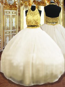 Champagne Tulle Zipper Halter Top Sleeveless Floor Length 15th Birthday Dress Beading