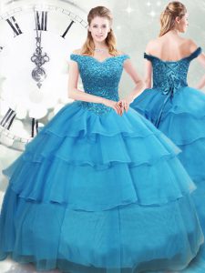 Ball Gowns Sleeveless Baby Blue Sweet 16 Dress Brush Train Lace Up