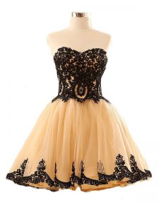 Flare Champagne Sweetheart Lace Up Appliques Homecoming Dresses Sleeveless