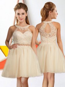 Customized Champagne Sleeveless Lace Knee Length Wedding Party Dress