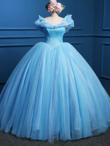 Free and Easy Baby Blue Ball Gowns Appliques Quince Ball Gowns Zipper Tulle Sleeveless Floor Length