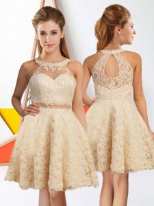 Dynamic Sleeveless Lace Knee Length Zipper Quinceanera Court of Honor Dress in Champagne with Lace