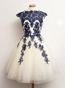 Shining Blue And White Scalloped Neckline Appliques Court Dresses for Sweet 16 Sleeveless Lace Up