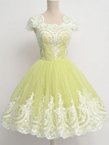 Smart Yellow Green A-line Tulle Square Cap Sleeves Lace Knee Length Zipper Quinceanera Court Dresses